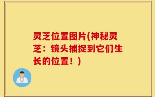 灵芝位置图片(神秘灵芝：镜头捕捉到它们生长的位置！)