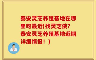 泰安灵芝养殖基地在哪里呀最近(找灵芝侠？泰安灵芝养殖基地近期详细情报！)