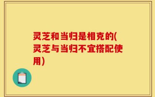 灵芝和当归是相克的(灵芝与当归不宜搭配使用)