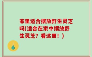 家里适合摆放野生灵芝吗(适合在家中摆放野生灵芝？看这里！)