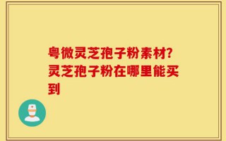 粤微灵芝孢子粉素材？灵芝孢子粉在哪里能买到