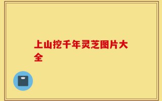 上山挖千年灵芝图片大全