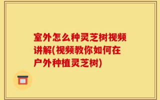 室外怎么种灵芝树视频讲解(视频教你如何在户外种植灵芝树)