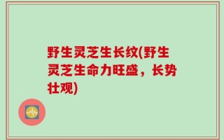 野生灵芝生长纹(野生灵芝生命力旺盛，长势壮观)