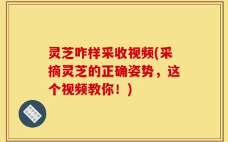 灵芝咋样采收视频(采摘灵芝的正确姿势，这个视频教你！)