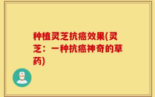 种植灵芝抗癌效果(灵芝：一种抗癌神奇的草药)