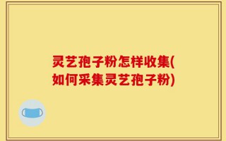 灵艺孢子粉怎样收集(如何采集灵艺孢子粉)