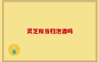 灵芝和当归泡酒吗