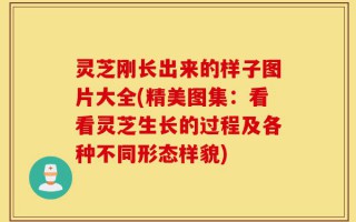 灵芝刚长出来的样子图片大全(精美图集：看看灵芝生长的过程及各种不同形态样貌)