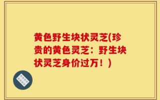 黄色野生块状灵芝(珍贵的黄色灵芝：野生块状灵芝身价过万！)