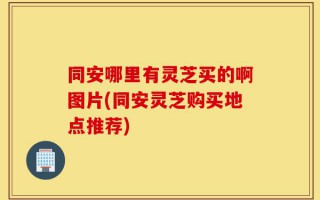 同安哪里有灵芝买的啊图片(同安灵芝购买地点推荐)