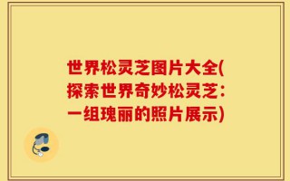 世界松灵芝图片大全(探索世界奇妙松灵芝：一组瑰丽的照片展示)