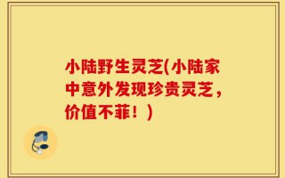 小陆野生灵芝(小陆家中意外发现珍贵灵芝，价值不菲！)