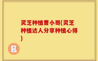灵芝种植曹小哥(灵芝种植达人分享种植心得)