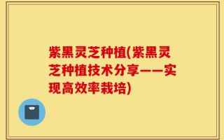 紫黑灵芝种植(紫黑灵芝种植技术分享——实现高效率栽培)