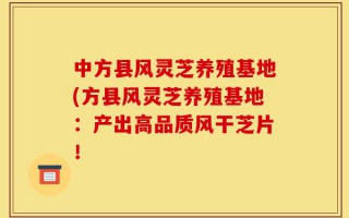 中方县风灵芝养殖基地(方县风灵芝养殖基地：产出高品质风干芝片！