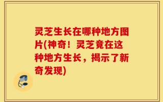 灵芝生长在哪种地方图片(神奇！灵芝竟在这种地方生长，揭示了新奇发现)