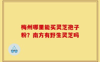 梅州哪里能买灵芝孢子粉？南方有野生灵芝吗