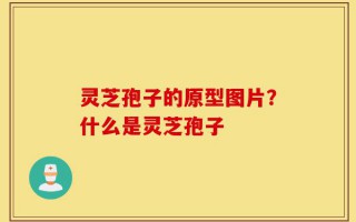 灵芝孢子的原型图片？什么是灵芝孢子