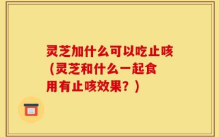 灵芝加什么可以吃止咳 (灵芝和什么一起食用有止咳效果？)