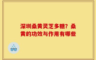 深圳桑黄灵芝多糖？桑黄的功效与作用有哪些