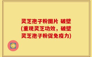灵芝孢子粉图片 破壁(重现灵芝功效，破壁灵芝孢子粉促免疫力)