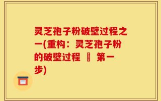 灵芝孢子粉破壁过程之一(重构：灵芝孢子粉的破壁过程 – 第一步)