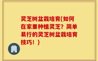 灵芝树盆栽培育(如何在家里种植灵芝？简单易行的灵芝树盆栽培育技巧！)