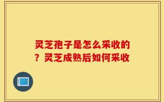 灵芝孢子是怎么采收的？灵芝成熟后如何采收