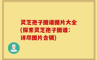 灵芝孢子图谱图片大全(探索灵芝孢子图谱：详尽图片合辑)