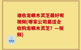 谁收龙眼木灵芝最好呢视频(哪家公司最适合收购龙眼木灵芝？—视频)