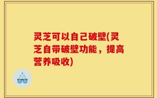灵芝可以自己破壁(灵芝自带破壁功能，提高营养吸收)