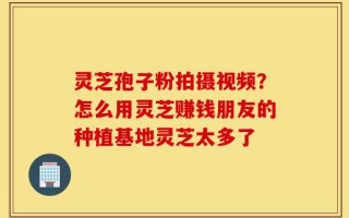 灵芝孢子粉拍摄视频？怎么用灵芝赚钱朋友的种植基地灵芝太多了