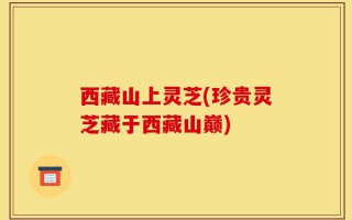 西藏山上灵芝(珍贵灵芝藏于西藏山巅)