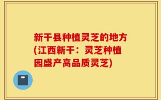 新干县种植灵芝的地方(江西新干：灵芝种植园盛产高品质灵芝)