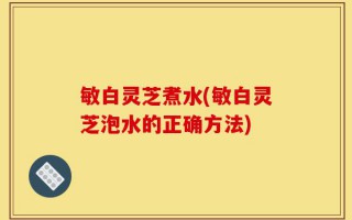 敏白灵芝煮水(敏白灵芝泡水的正确方法)