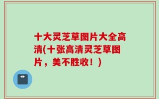 十大灵芝草图片大全高清(十张高清灵芝草图片，美不胜收！)