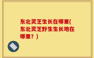 东北灵芝生长在哪里(东北灵芝野生生长地在哪里？)