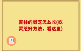 吉林的灵芝怎么吃(吃灵芝好方法，看这里)