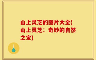 山上灵芝的图片大全(山上灵芝：奇妙的自然之宝)