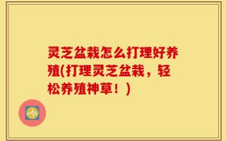 灵芝盆栽怎么打理好养殖(打理灵芝盆栽，轻松养殖神草！)