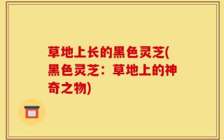 草地上长的黑色灵芝(黑色灵芝：草地上的神奇之物)