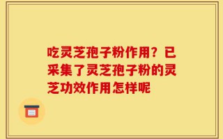 吃灵芝孢子粉作用？已采集了灵芝孢子粉的灵芝功效作用怎样呢