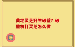 黄地灵芝野生破壁？破壁机打灵芝怎么做