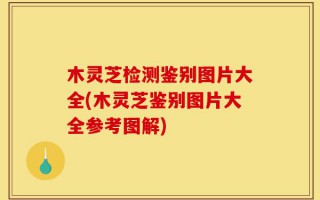 木灵芝检测鉴别图片大全(木灵芝鉴别图片大全参考图解)