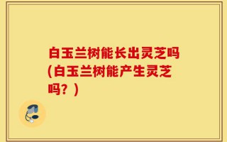 白玉兰树能长出灵芝吗(白玉兰树能产生灵芝吗？)
