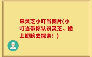 采灵芝小叮当图片(小叮当带你认识灵芝，插上翅膀去探索！)