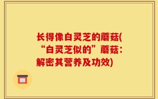 长得像白灵芝的蘑菇(“白灵芝似的”蘑菇：解密其营养及功效)