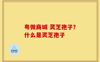 粤微商城 灵芝孢子？什么是灵芝孢子