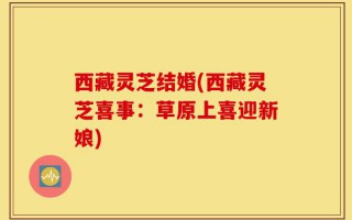 西藏灵芝结婚(西藏灵芝喜事：草原上喜迎新娘)